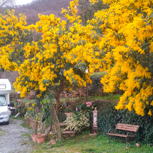 Rimessaggio Camper Caravan TamoaClub Genova