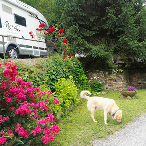 Rimessaggio Camper Caravan TamoaClub Genova